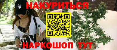 спиды Краснодар