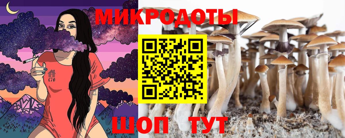 хочу наркоту  Галлюциногенные грибы Psilocybine cubensis  Вход с VPN  Карпинск 